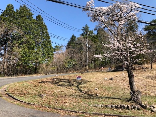 春は敷地内の山桜満開です